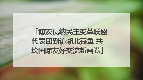 博茨瓦纳民主变革联盟代表团到访湖北嘉鱼 共绘国际友好交流新画卷