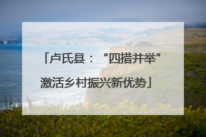 卢氏县：“四措并举”激活乡村振兴新优势