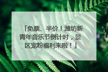 免票、半价！潍坊新青年音乐节倒计时，景区宠粉福利来啦！
