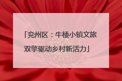 兖州区：牛楼小镇文旅双擎驱动乡村新活力