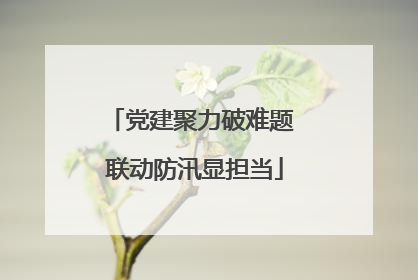 党建聚力破难题 联动防汛显担当