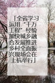 全省学习运用“千万工程”经验加快城乡融合发展推进乡村全面振兴现场会在上杭举行