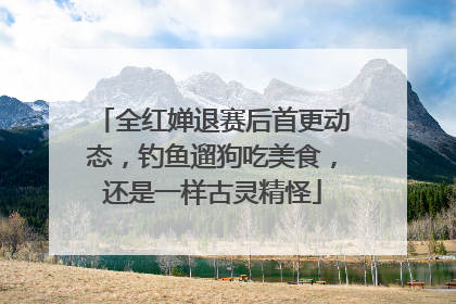 全红婵退赛后首更动态，钓鱼遛狗吃美食，还是一样古灵精怪