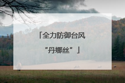 全力防御台风“丹娜丝”