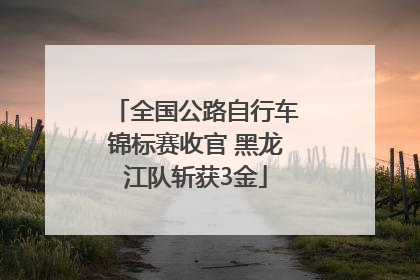 全国公路自行车锦标赛收官 黑龙江队斩获3金