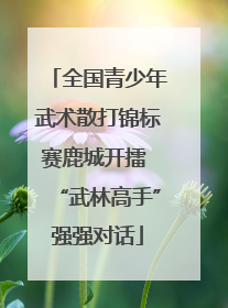 全国青少年武术散打锦标赛鹿城开擂 “武林高手”强强对话