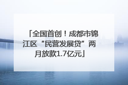 全国首创！成都市锦江区“民营发展贷”两月放款1.7亿元