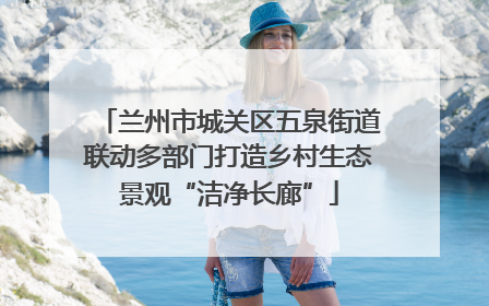 兰州市城关区五泉街道联动多部门打造乡村生态景观“洁净长廊”