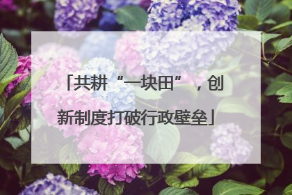 共耕“一块田”，创新制度打破行政壁垒