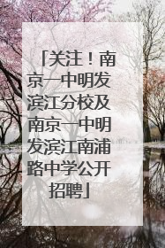 关注！南京一中明发滨江分校及南京一中明发滨江南浦路中学公开招聘