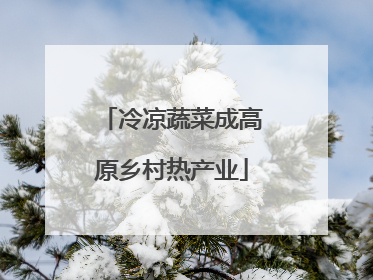 冷凉蔬菜成高原乡村热产业