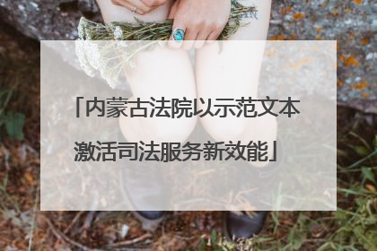 内蒙古法院以示范文本激活司法服务新效能