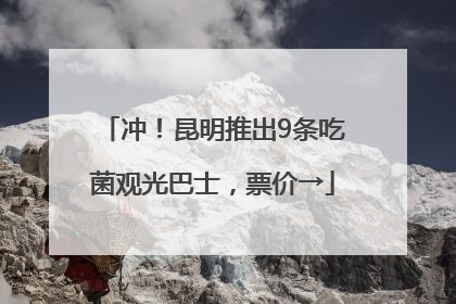 冲！昆明推出9条吃菌观光巴士，票价→