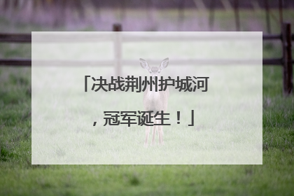 决战荆州护城河，冠军诞生！
