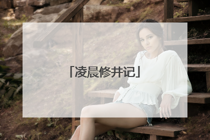 凌晨修井记