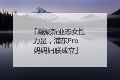 凝聚新业态女性力量，浦东Pro妈妈妇联成立
