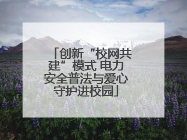 创新“校网共建”模式 电力安全普法与爱心守护进校园