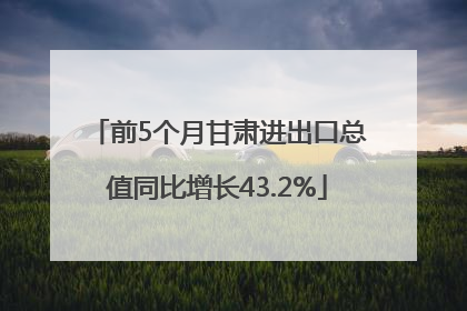 前5个月甘肃进出口总值同比增长43.2%