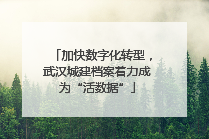 加快数字化转型，武汉城建档案着力成为“活数据”