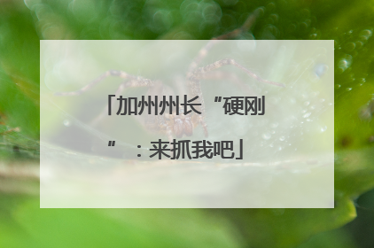 加州州长“硬刚”：来抓我吧