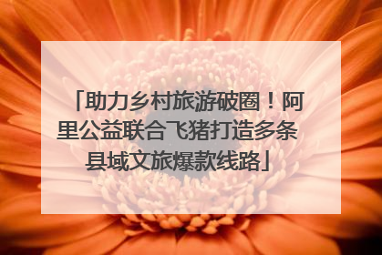 助力乡村旅游破圈！阿里公益联合飞猪打造多条县域文旅爆款线路
