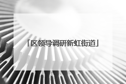 区领导调研新虹街道
