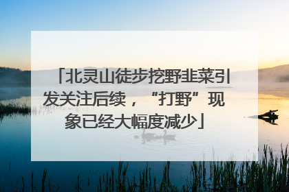 北灵山徒步挖野韭菜引发关注后续，“打野”现象已经大幅度减少