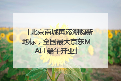 北京南城再添潮购新地标，全国最大京东MALL端午开业