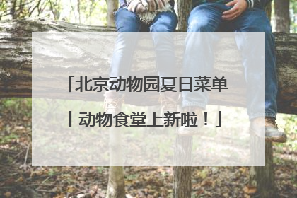 北京动物园夏日菜单丨动物食堂上新啦！