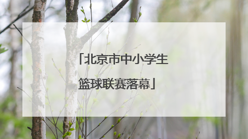 北京市中小学生篮球联赛落幕