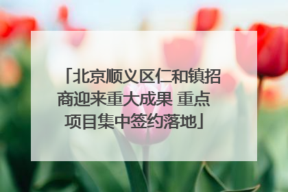 北京顺义区仁和镇招商迎来重大成果 重点项目集中签约落地