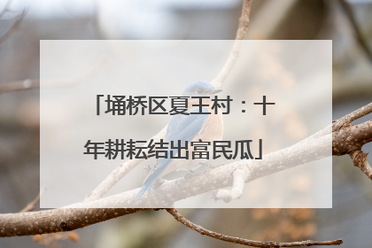埇桥区夏王村：十年耕耘结出富民瓜