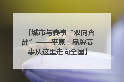 城市与赛事“双向奔赴”——平原：品牌赛事从这里走向全国