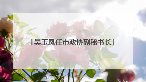 吴玉凤任市政协副秘书长