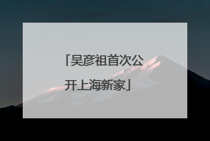 吴彦祖首次公开上海新家