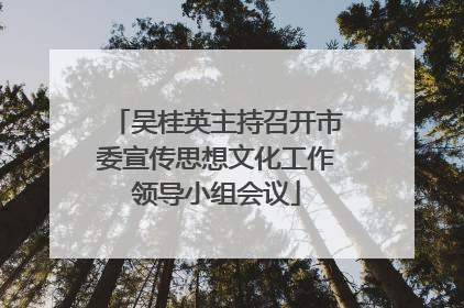 吴桂英主持召开市委宣传思想文化工作领导小组会议