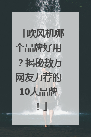 吹风机哪个品牌好用？揭秘数万网友力荐的10大品牌！