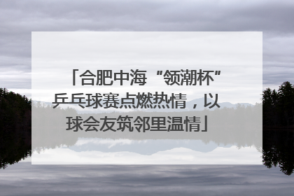 合肥中海“领潮杯”乒乓球赛点燃热情，以球会友筑邻里温情