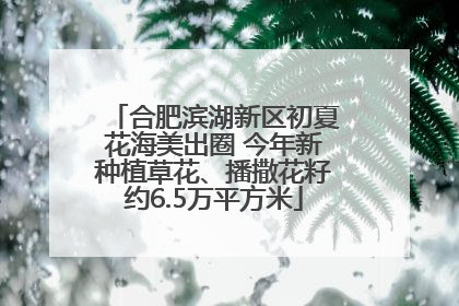 合肥滨湖新区初夏花海美出圈 今年新种植草花、播撒花籽约6.5万平方米