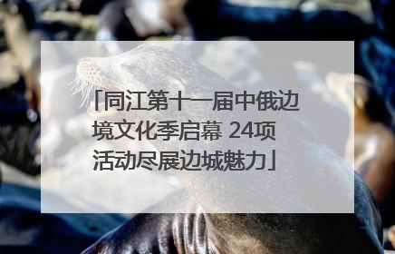 同江第十一届中俄边境文化季启幕 24项活动尽展边城魅力