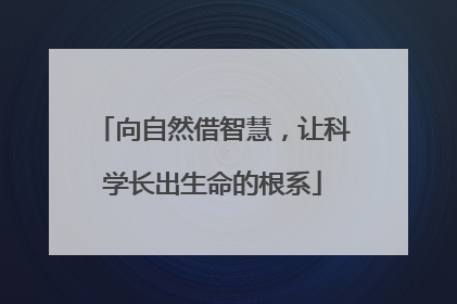 向自然借智慧，让科学长出生命的根系