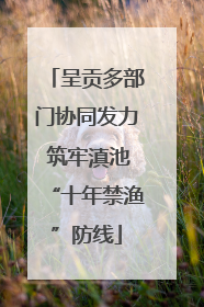 呈贡多部门协同发力 筑牢滇池“十年禁渔”防线