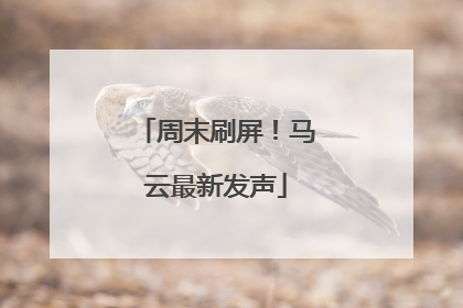 周末刷屏！马云最新发声