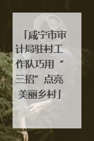 咸宁市审计局驻村工作队巧用“三招”点亮美丽乡村