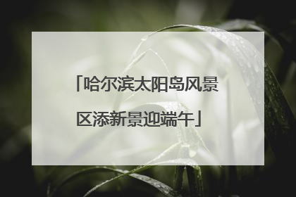 哈尔滨太阳岛风景区添新景迎端午