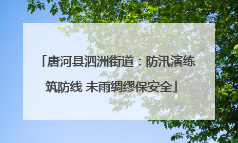 唐河县泗洲街道：防汛演练筑防线 未雨绸缪保安全