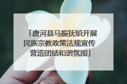 唐河县马振抚镇开展民族宗教政策法规宣传 营造团结和谐氛围