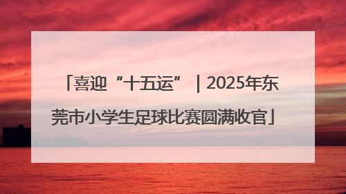 喜迎“十五运”｜2025年东莞市小学生足球比赛圆满收官