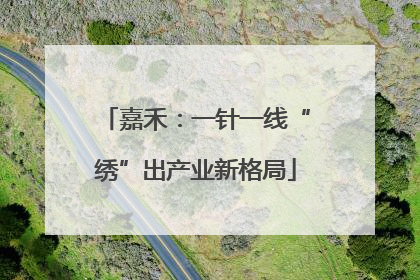 嘉禾：一针一线“绣”出产业新格局