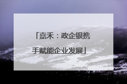 嘉禾：政企银携手赋能企业发展